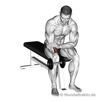 Griffkraft stärken: Im fließenden Rhythmus als ultimative Grundübung für den Muskelaufbau sorgt für athletische Härte.