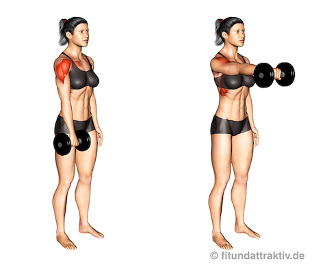 Schulter Übungen Gym Frauen Frontheben mit Hantel: Vergleich der Ausgangslage an der Oberschenkelvorderseite und des einarmigen Hebelwegs nach vorn bis in die Waagerechte gegen schlaffe Gewebe.