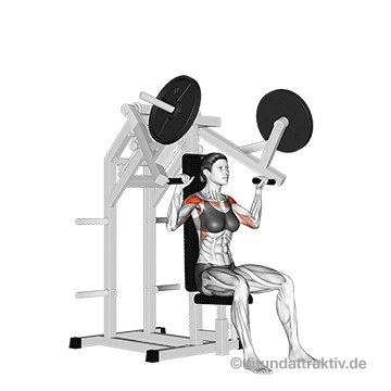 Schulter Übungen Gym Frauen Schulterdrücken Gerät: Eine fließende Animation der kontrollierten Aufwärtsbewegung ohne Schwung zur optimalen Belastung der mittleren Schultermuskulatur.