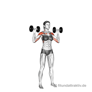 Schulter Übungen Gym Frauen Schulterdrücken mit Hanteln: Das synchrone Hochdrücken und langsame Absenken der Gewichte im aufrechten Oberkörper zur Formung runder Konturen.